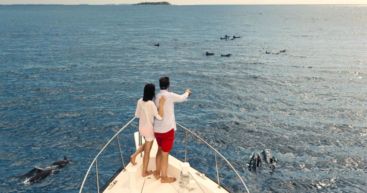 Kandima Maldives كوداهوفادهو المظهر الخارجي الصورة Dolphins in the Red Sea