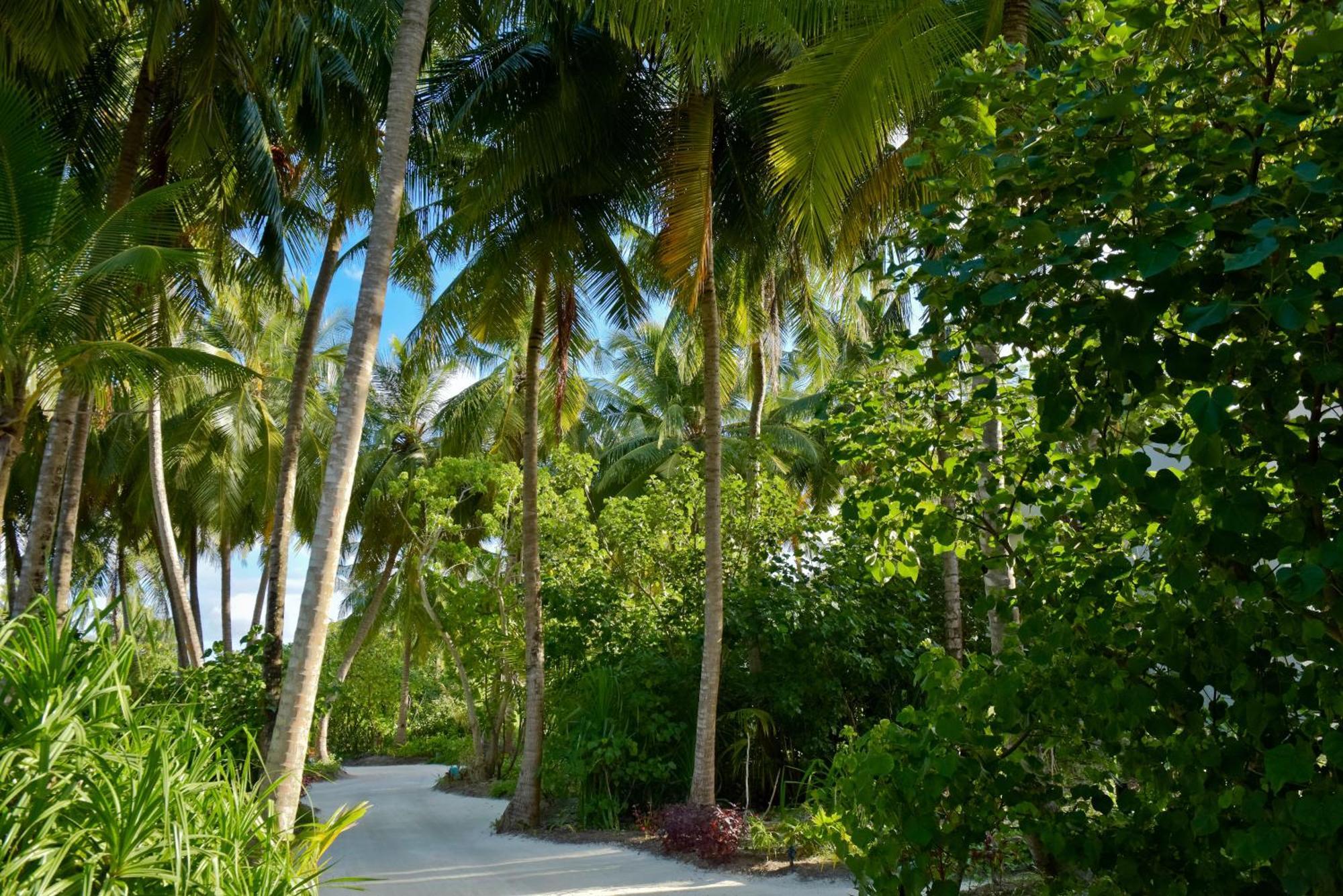 Kandima Maldives كوداهوفادهو المظهر الخارجي الصورة A road in Maldives